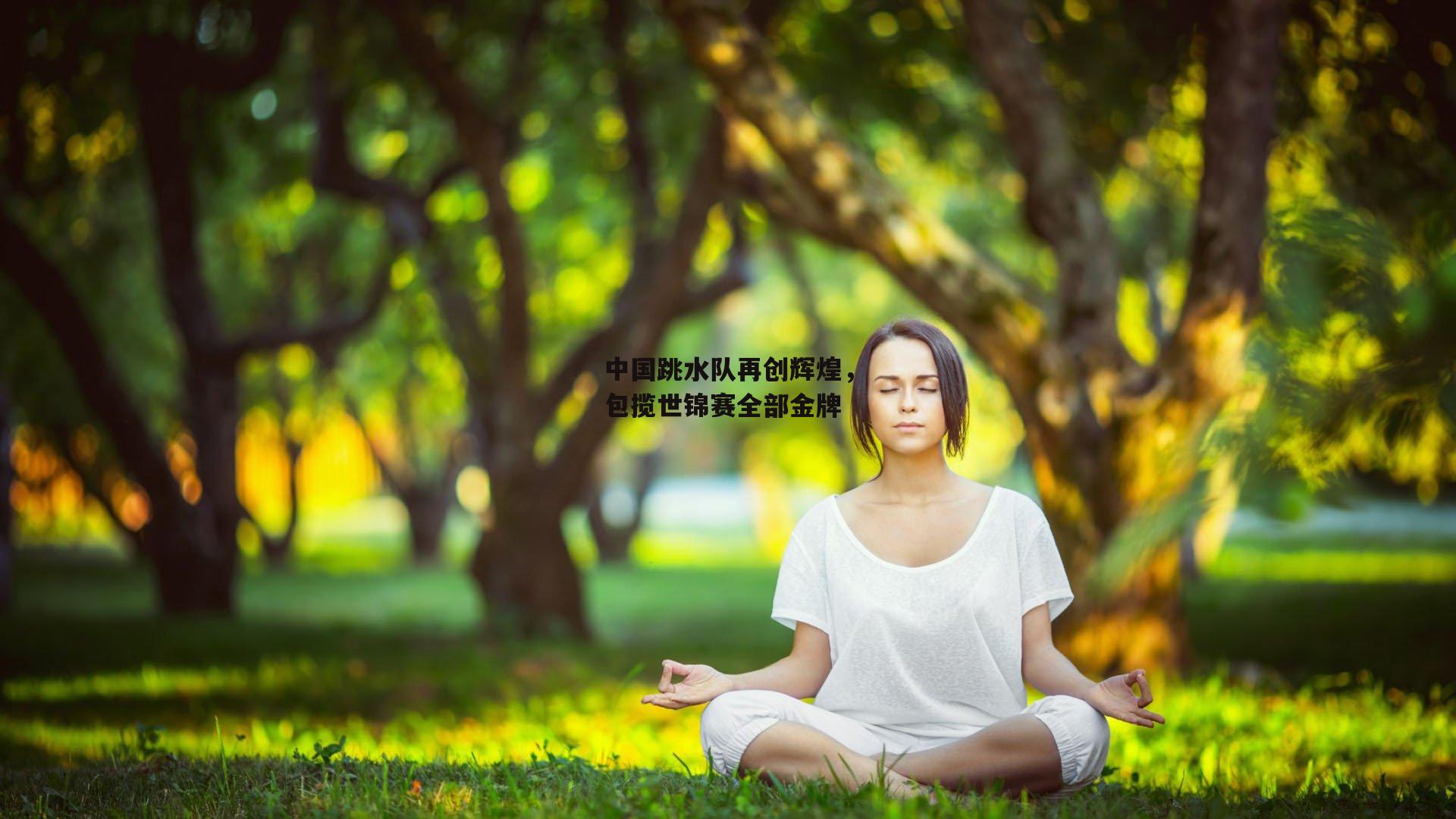 中国跳水队再创辉煌，包揽世锦赛全部金牌
